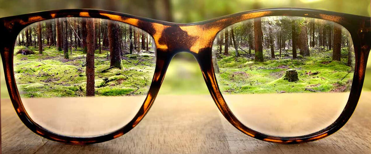 The Average Cost of Prescription Lenses In Calgary
