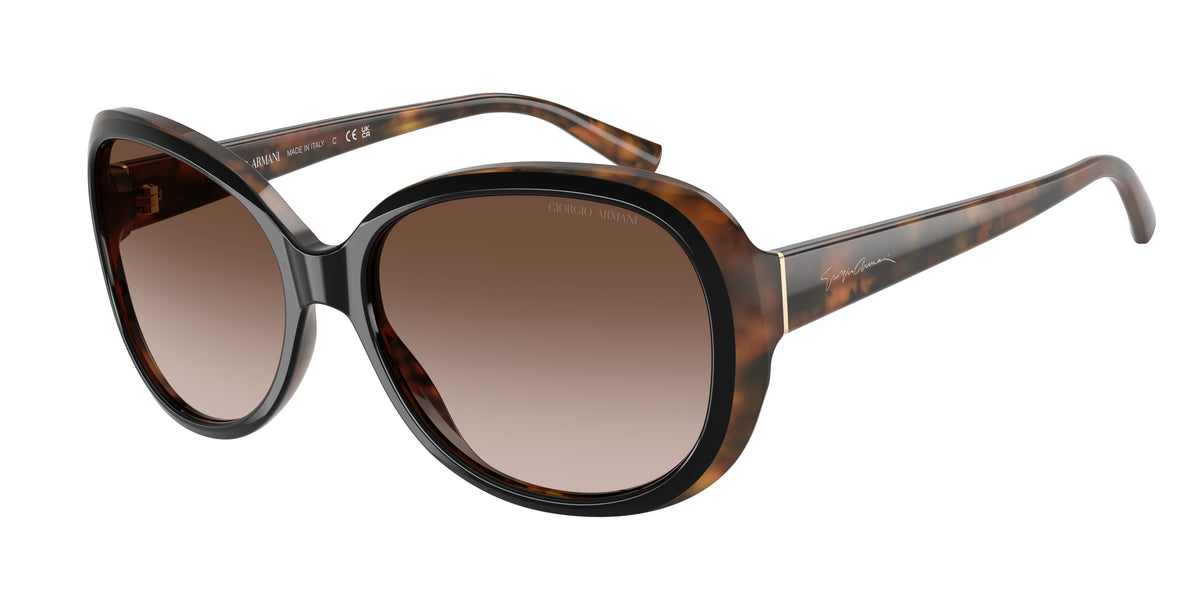 Giorgio Armani AR8047 Top Black Havana Sunglasses