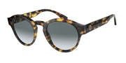 Giorgio Armani AR8146 Yellow Havana Sunglasses