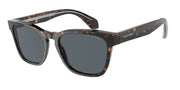 Giorgio Armani AR8155 Havana Sunglasses