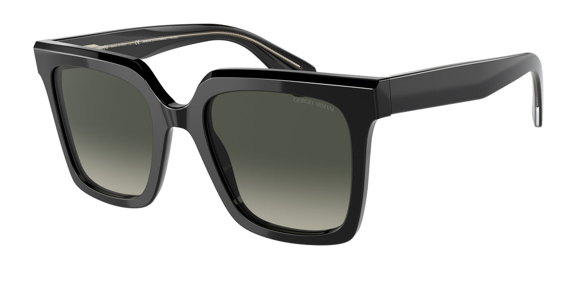 Giorgio Armani AR8156 Black Sunglasses