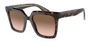 Giorgio Armani AR8156 Havana Sunglasses