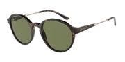 Giorgio Armani AR8160 Havana Sunglasses