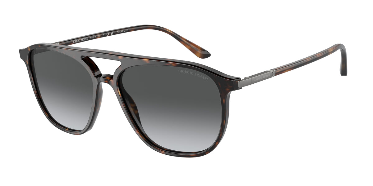 Giorgio Armani AR8179 Havana Sunglasses
