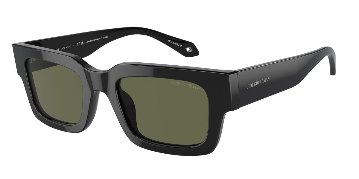 Giorgio Armani AR8184U Black Sunglasses
