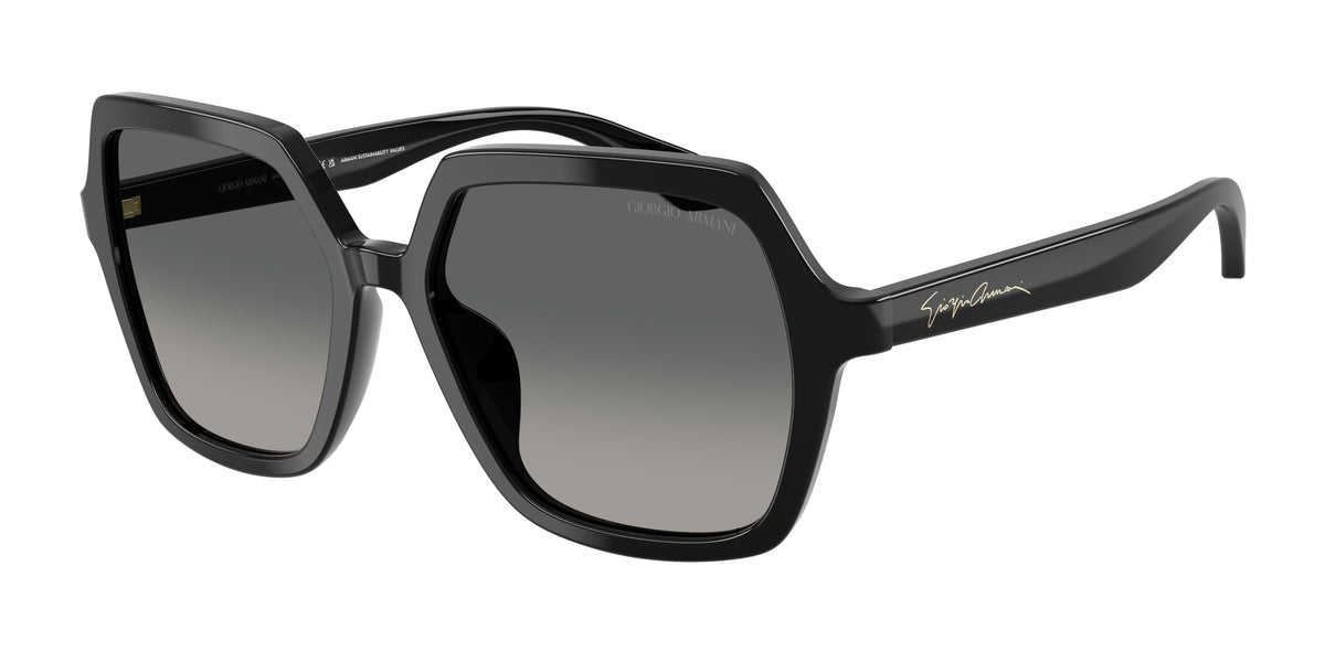 Giorgio Armani AR8193U Black Sunglasses