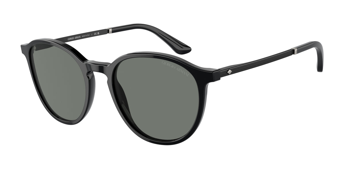 Giorgio Armani AR8196 Black Sunglasses