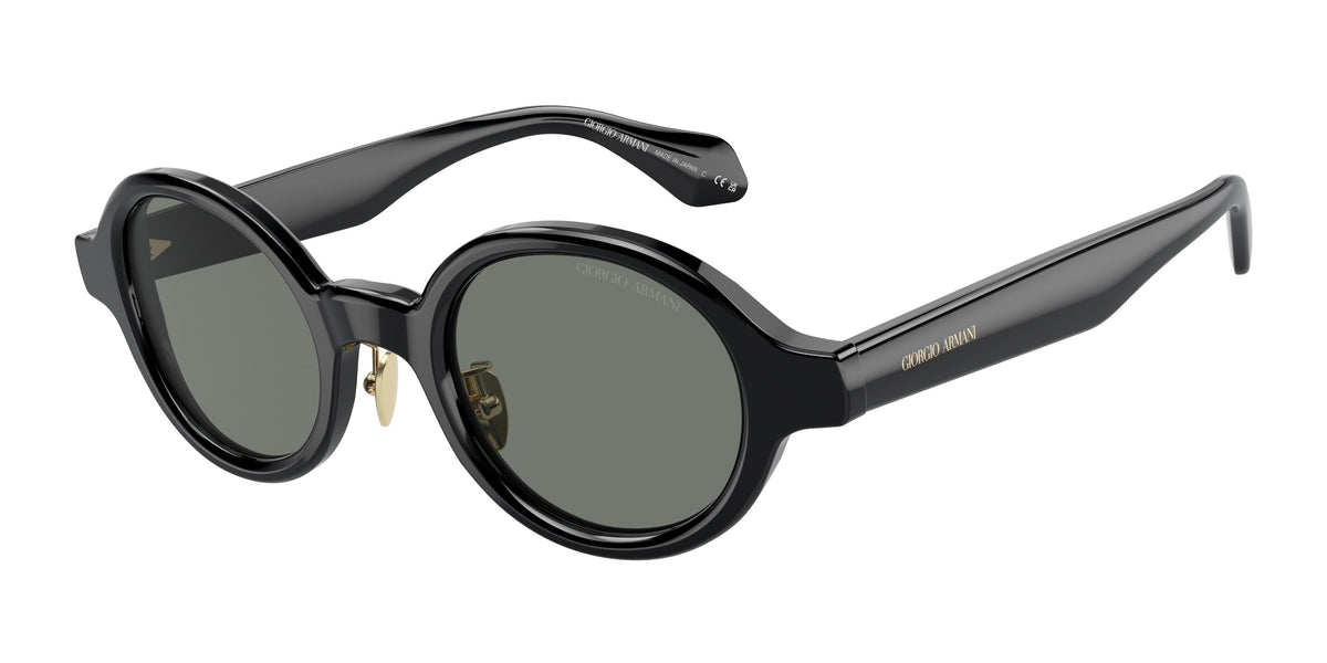 Giorgio Armani AR8205 Black Sunglasses