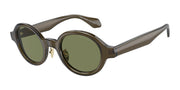 Giorgio Armani AR8205 Transparent Green Sunglasses