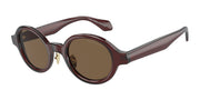 Giorgio Armani AR8205 Transparent Brown Sunglasses