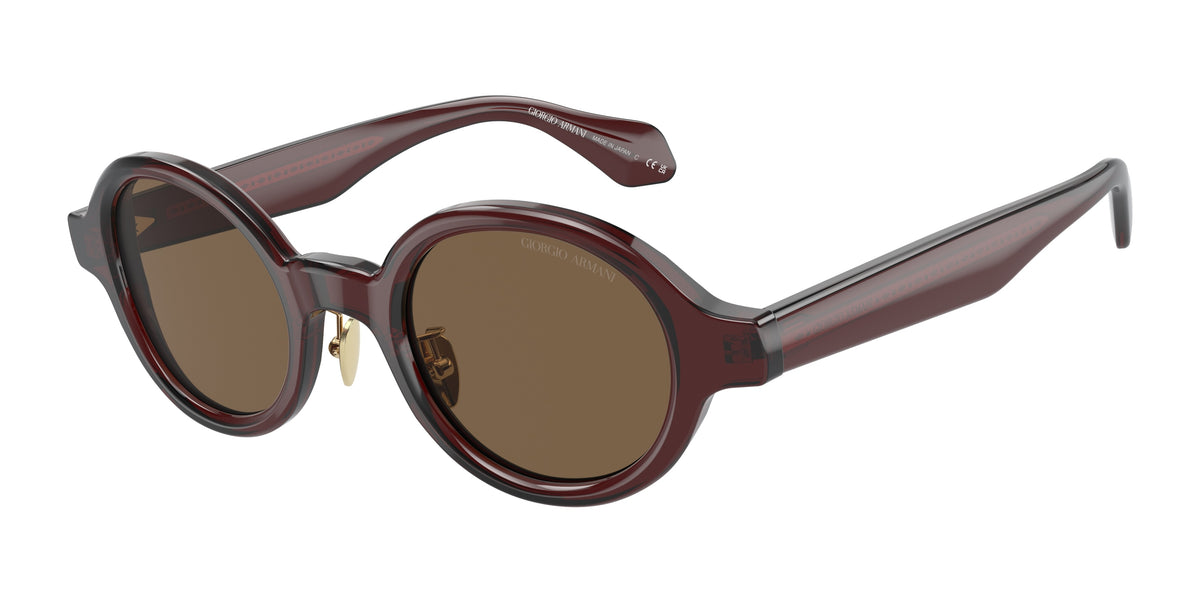 Giorgio Armani AR8205 Transparent Brown Sunglasses