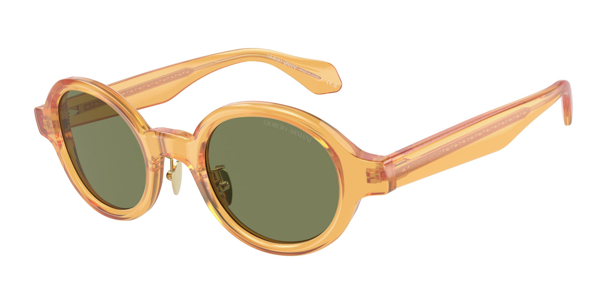 Giorgio Armani AR8205 Transparent Honey Sunglasses