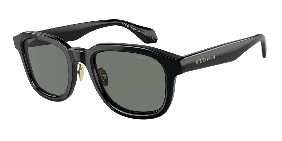 Giorgio Armani AR8206 Black Sunglasses