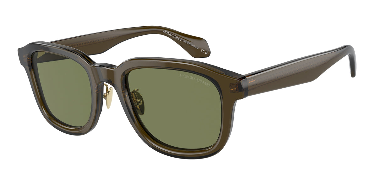 Giorgio Armani AR8206 Transparent Green Sunglasses