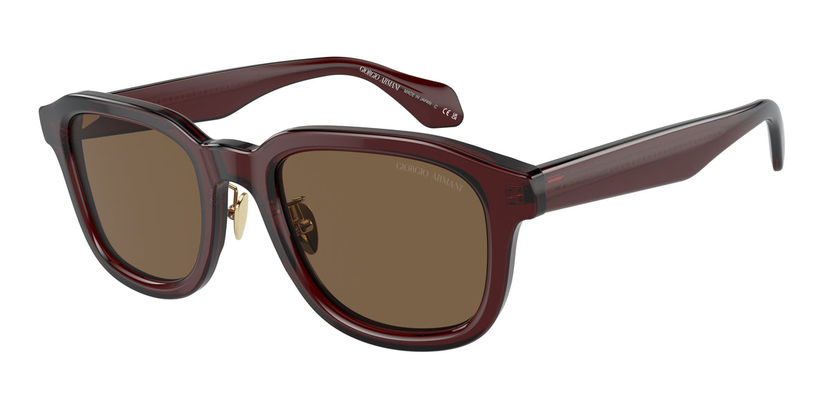 Giorgio Armani AR8206 Transparent Brown Sunglasses