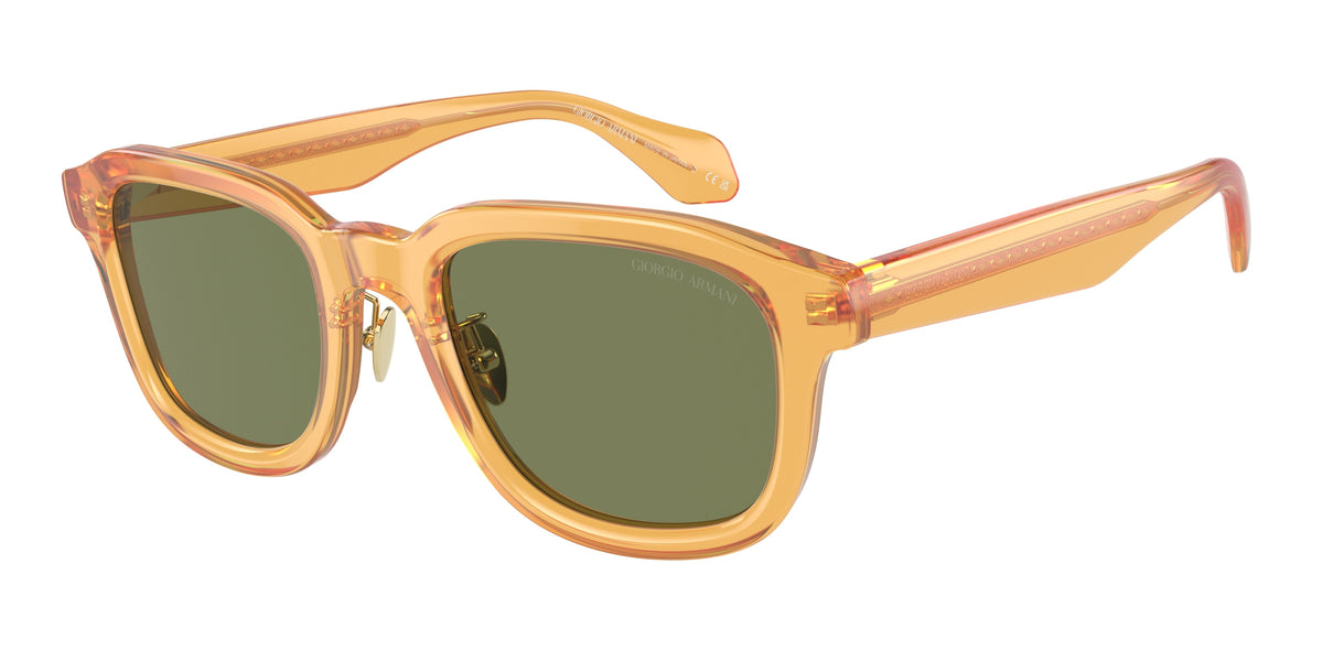 Giorgio Armani AR8206 Transparent Honey Sunglasses