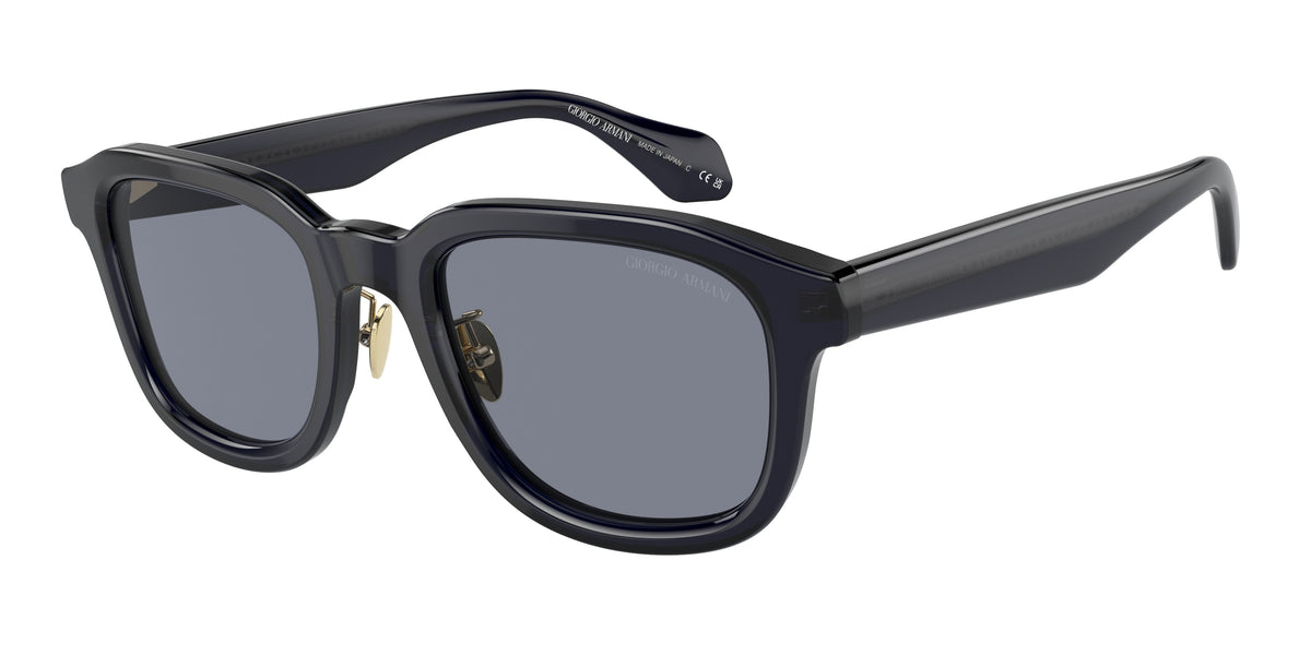 Giorgio Armani AR8206 Transparent Blue Sunglasses