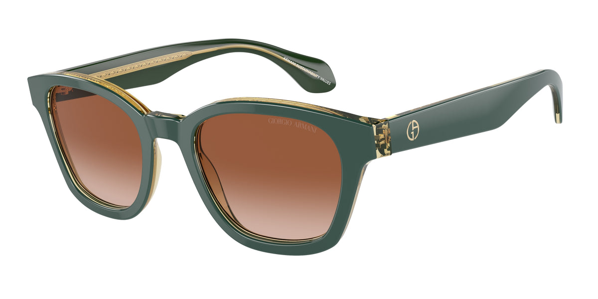 Giorgio Armani AR8207F Top Green/Olive Transparent Sunglasses