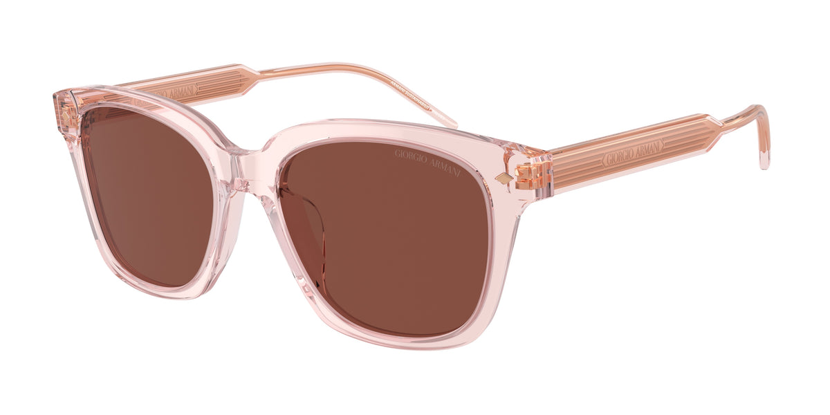 Giorgio Armani AR8210U Transparent Pink Sunglasses