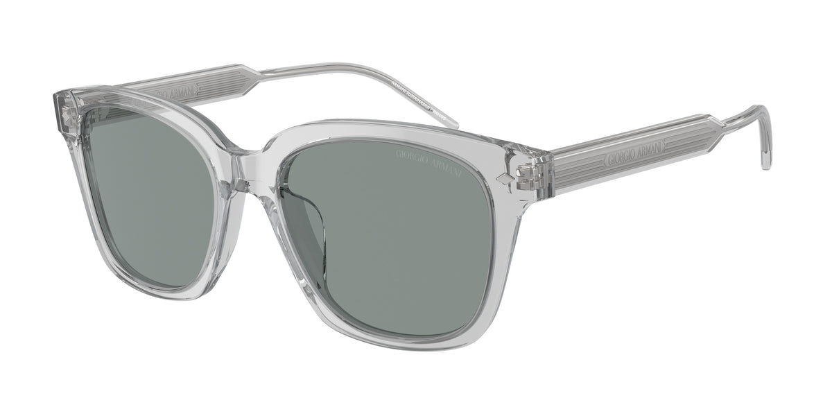 Giorgio Armani AR8210U Transparent Grey Sunglasses