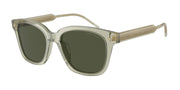 Giorgio Armani AR8210U Transparent Green Sunglasses