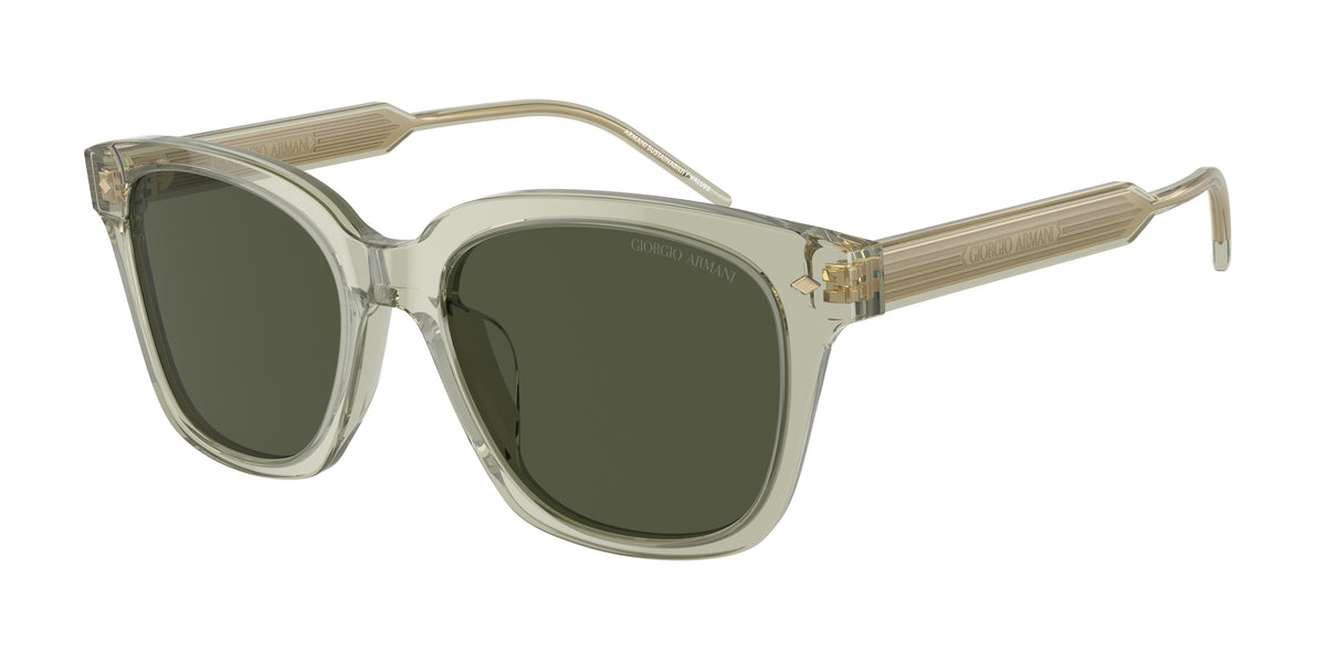 Giorgio Armani AR8210U Transparent Green Sunglasses