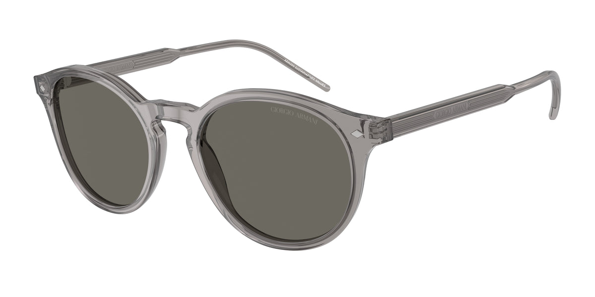 Giorgio Armani AR8211F Transparent Grey Sunglasses