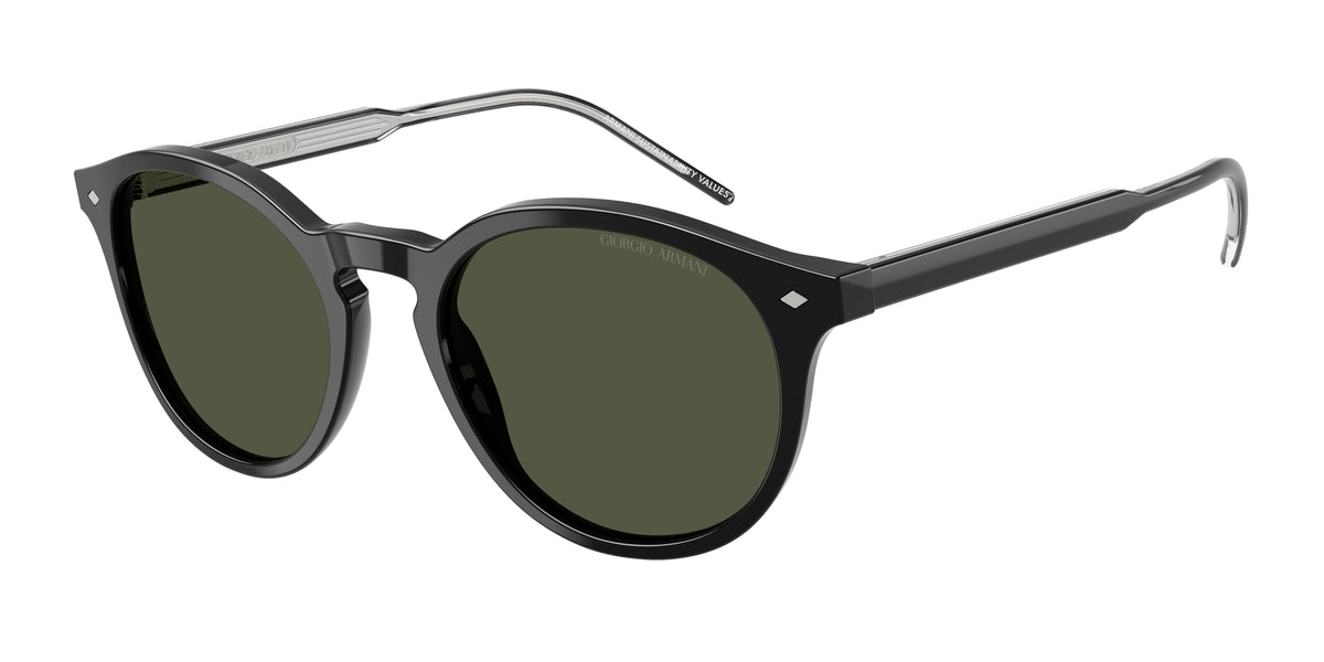 Giorgio Armani AR8211 Black Sunglasses