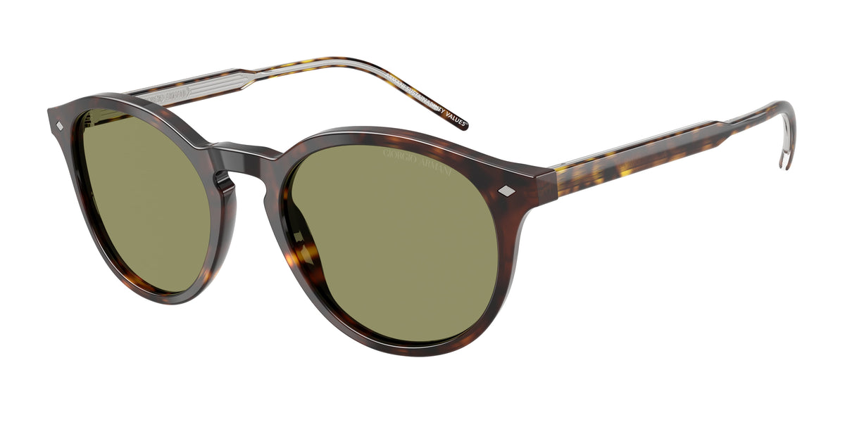 Giorgio Armani AR8211 Havana Sunglasses