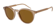 Giorgio Armani AR8211 Transparent Brown Sunglasses