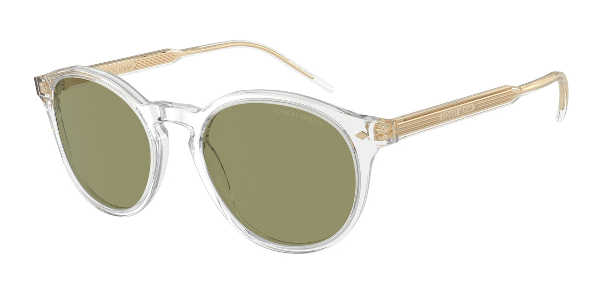 Giorgio Armani AR8211 Crystal Sunglasses