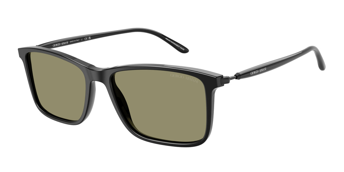 Giorgio Armani AR8218 Black Sunglasses