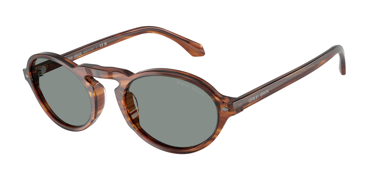 Giorgio Armani AR8219U Striped Brown Sunglasses