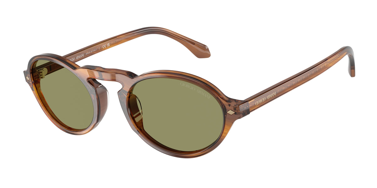 Giorgio Armani AR8219U Striped Honey Sunglasses