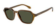 Giorgio Armani AR8220 Transparent Green Sunglasses