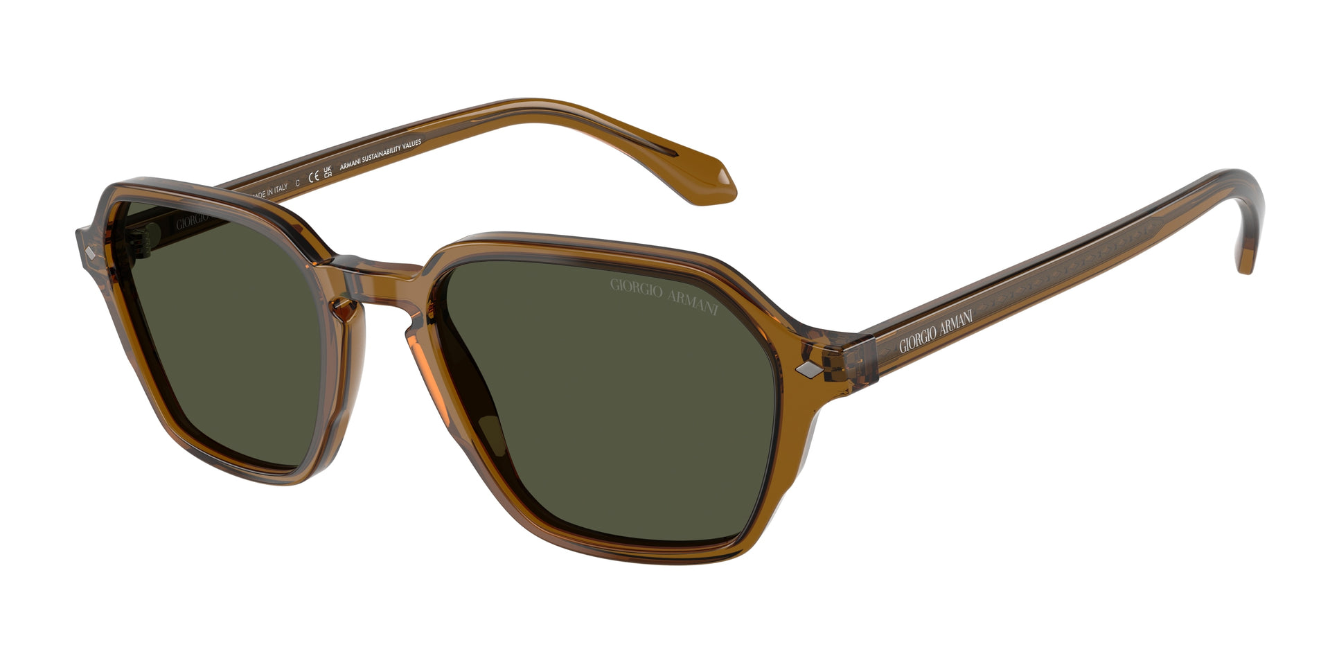Giorgio Armani AR8220 Transparent Green Sunglasses