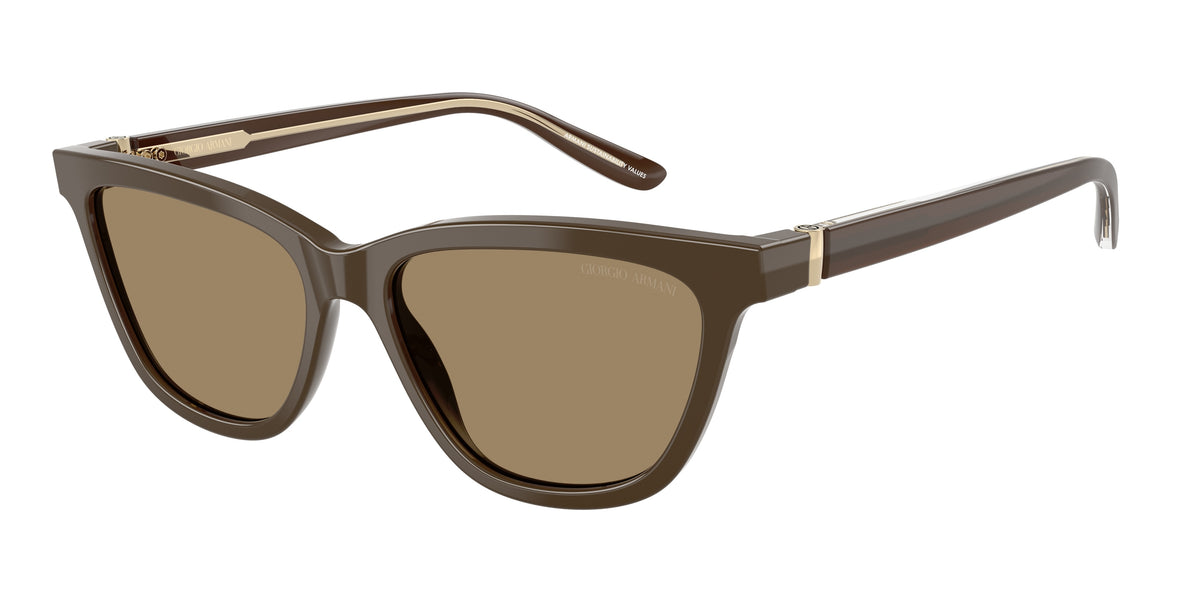 Giorgio Armani AR8221 Brown Sunglasses