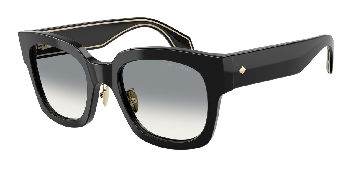 Giorgio Armani AR8223 Black Sunglasses