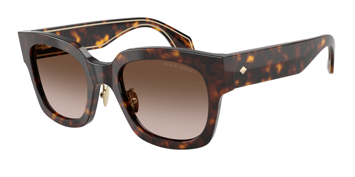 Giorgio Armani AR8223 Havana Sunglasses