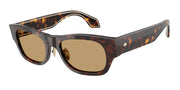 Giorgio Armani AR8224 Havana Sunglasses
