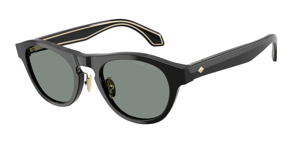 Giorgio Armani AR8225 Black Sunglasses
