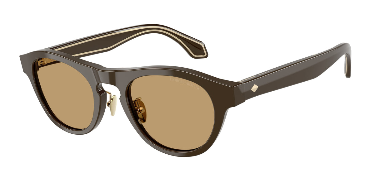 Giorgio Armani AR8225 Solid Dark Brown Sunglasses