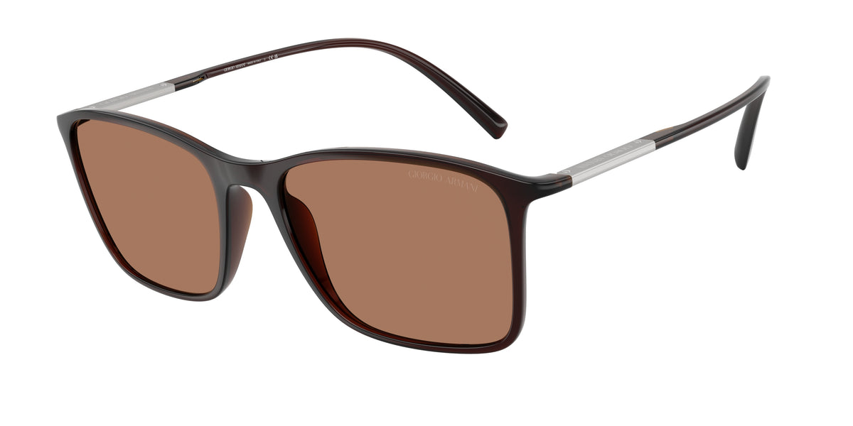Giorgio Armani AR8231U Transparent Brown Sunglasses