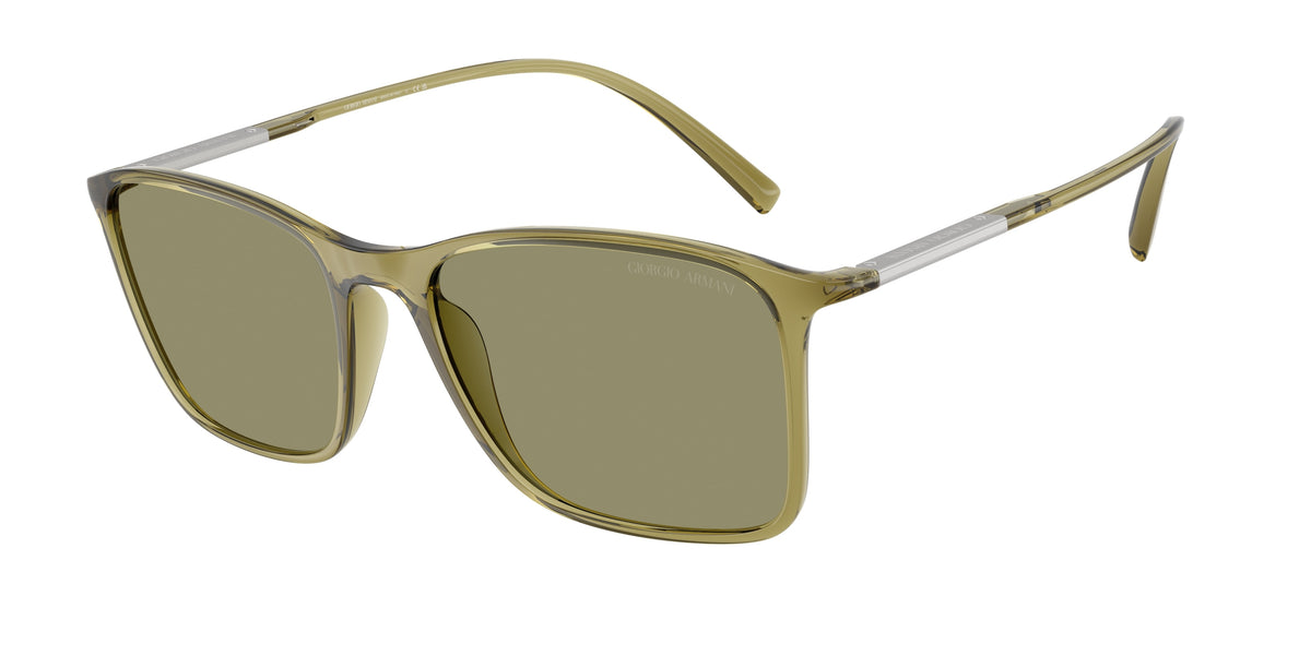 Giorgio Armani AR8231U Transparent Green Sunglasses