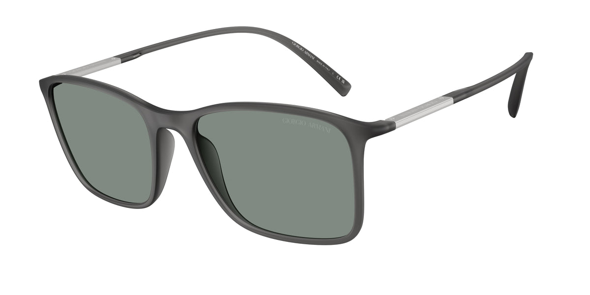Giorgio Armani AR8231U Transparent Grey Sunglasses