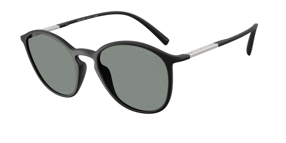 Giorgio Armani AR8233U Matte Black Sunglasses