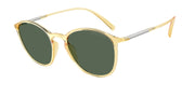 Giorgio Armani AR8233U Honey Sunglasses