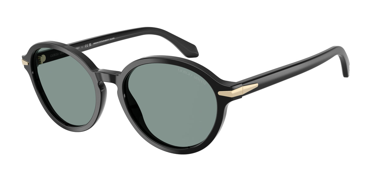 Giorgio Armani AR8237 Black Sunglasses