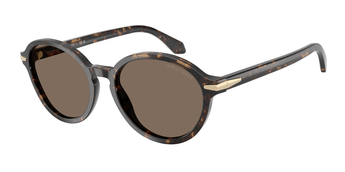 Giorgio Armani AR8237 Havana Beige Sunglasses