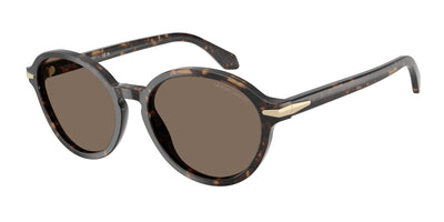 Giorgio Armani AR8237 Sunglasses